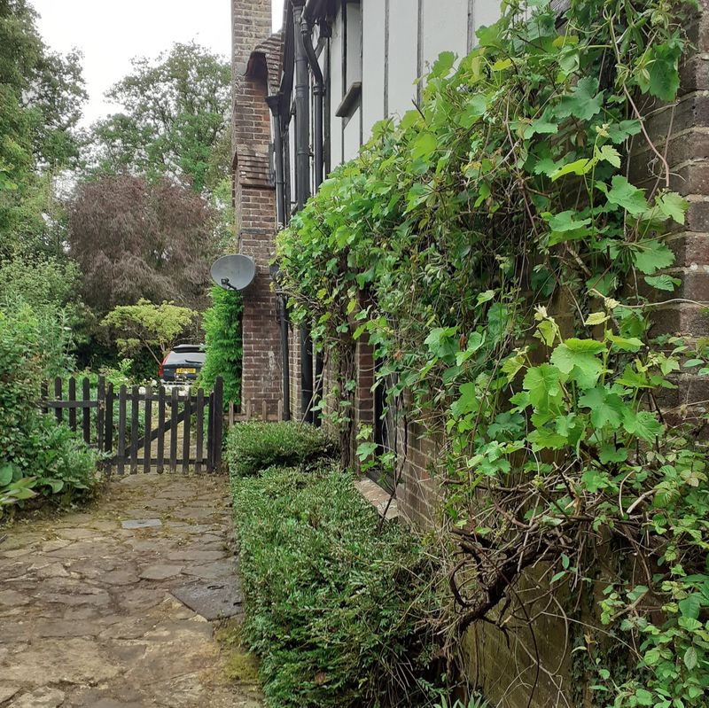 Freshly maintained lawn with trimmed edges