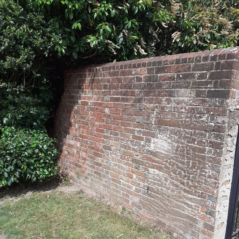 Garden after maintenance