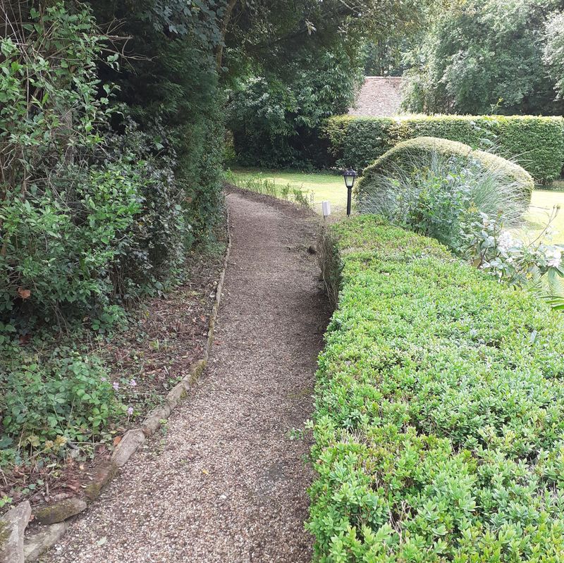 Garden after maintenance