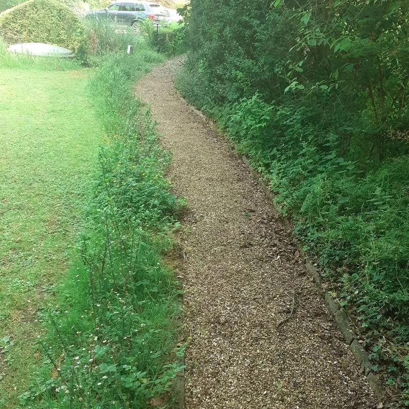 Garden before maintenance